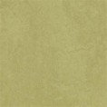 /products/3265-avocado-fresco/